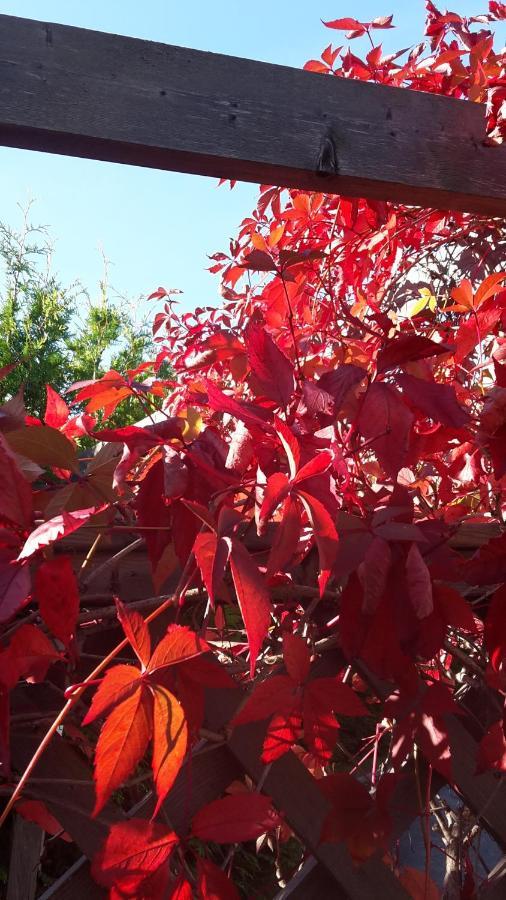 Soergardens Logi Panzió Härnösand Kültér fotó