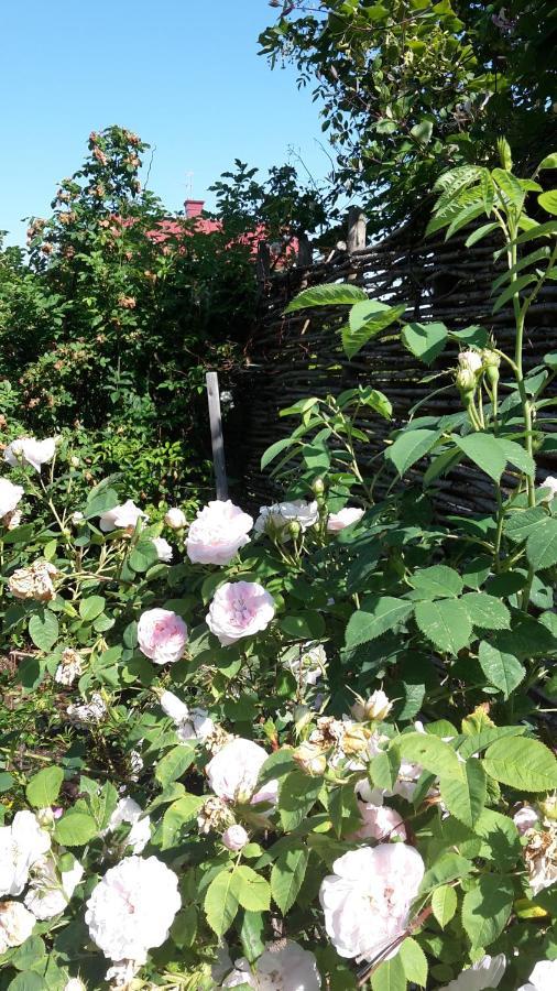 Soergardens Logi Panzió Härnösand Kültér fotó