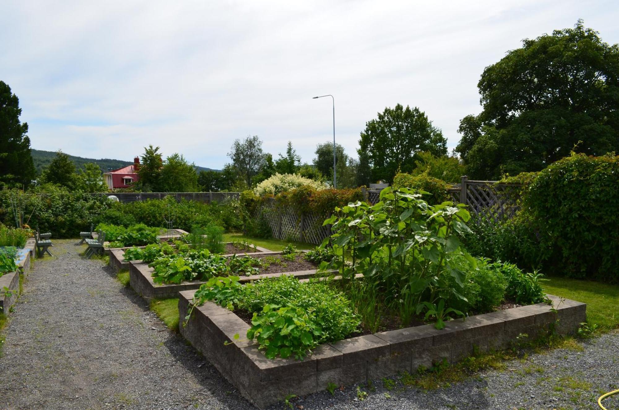 Soergardens Logi Panzió Härnösand Kültér fotó
