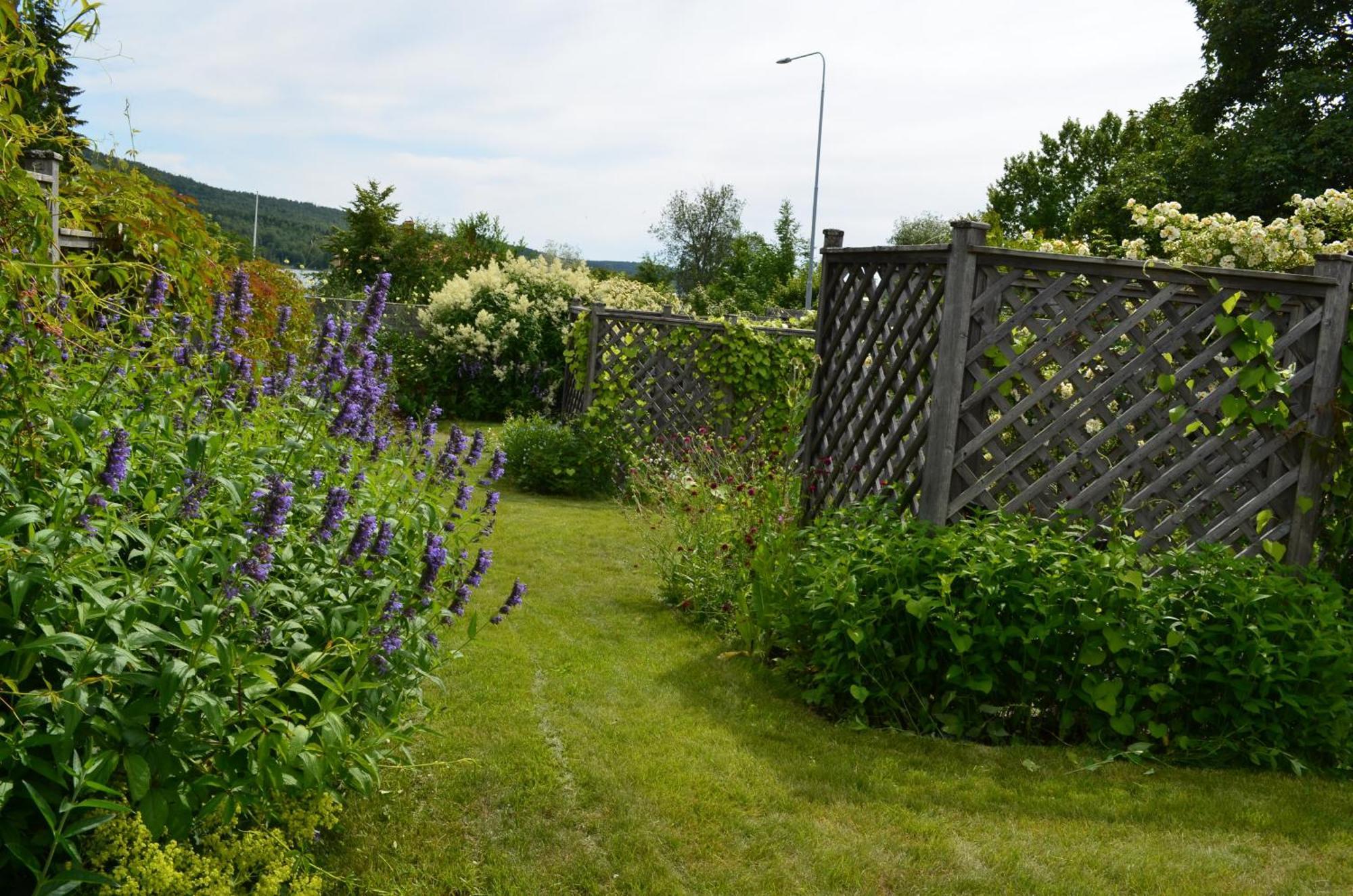 Soergardens Logi Panzió Härnösand Kültér fotó