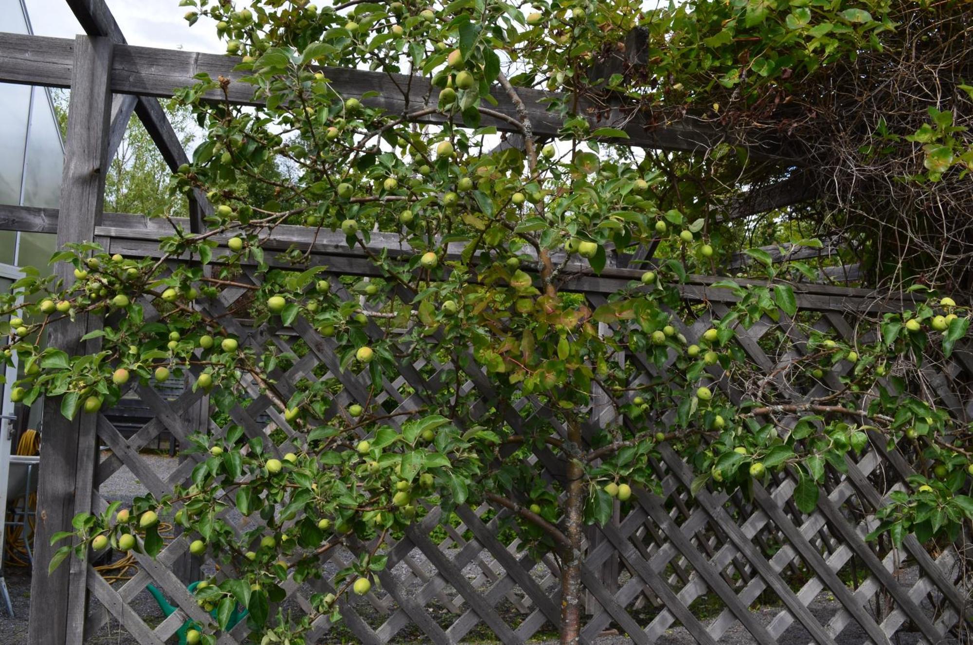 Soergardens Logi Panzió Härnösand Kültér fotó